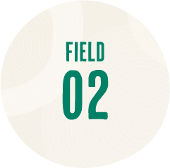 FIELD 02