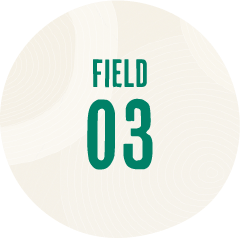 FIELD 03