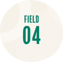 FIELD 04