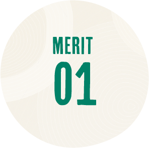 MERIT 01