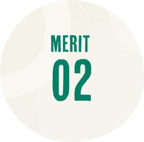 MERIT 02